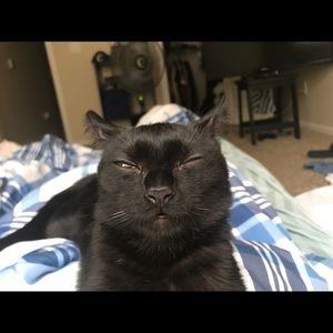 Meet your Posher, Alyssia